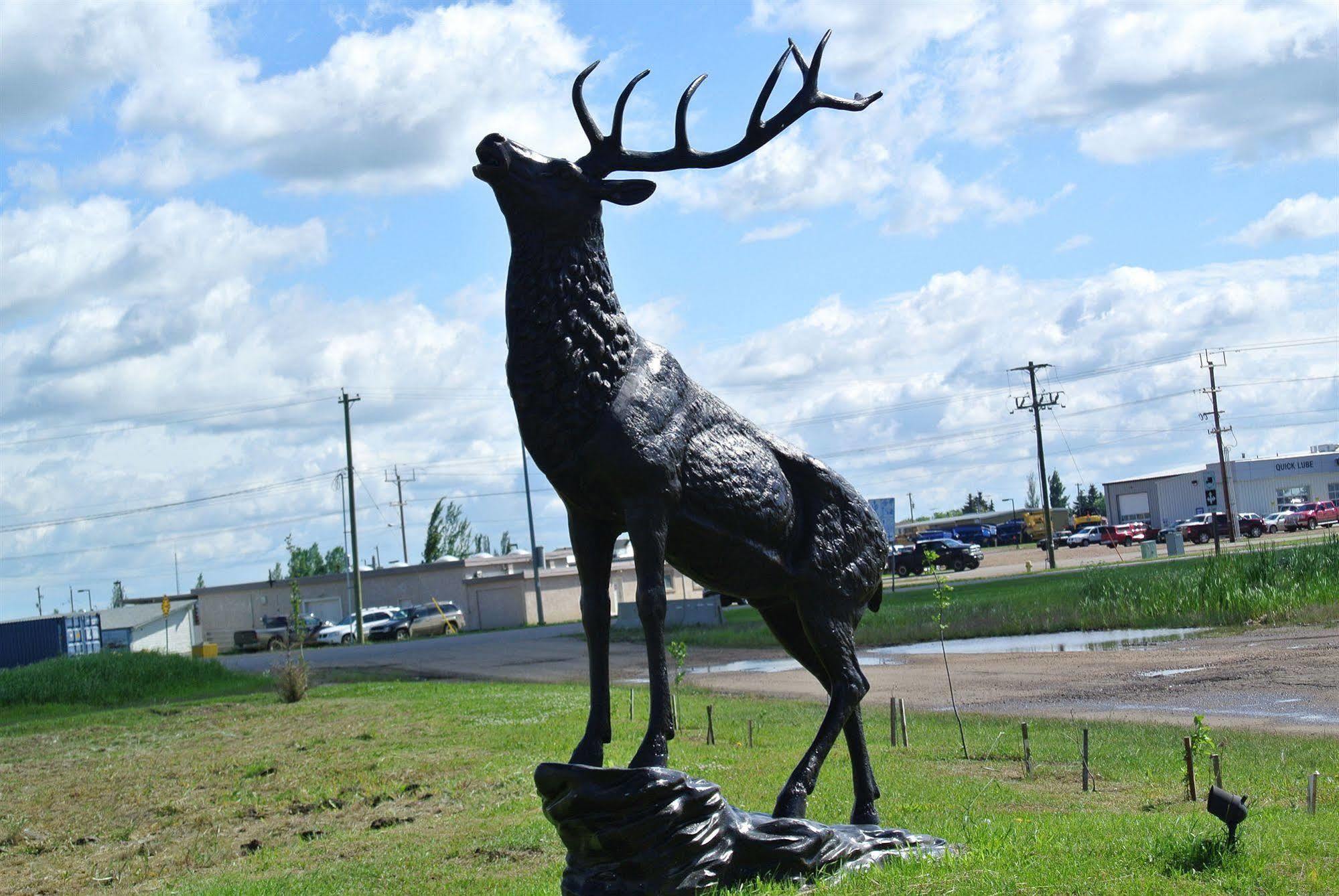 Vegreville Garden Inn Exteriér fotografie